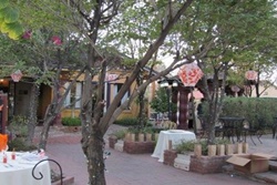 pet friendly restaurant in Phoenix - inside the Bungalow